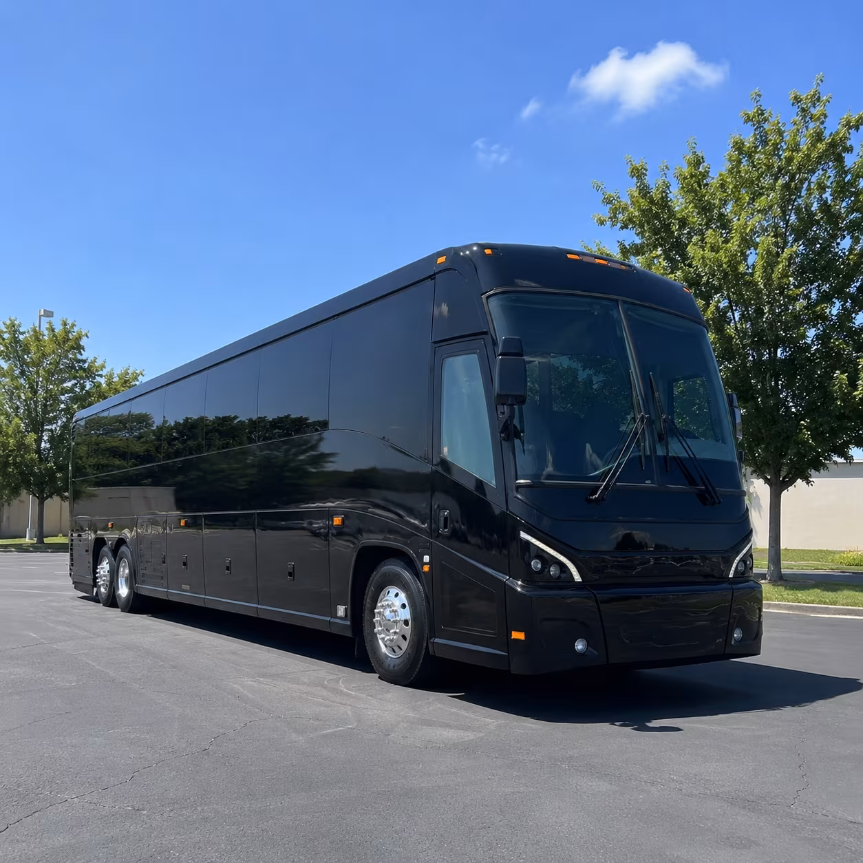 battle creek va medical center transportation for veterans groups