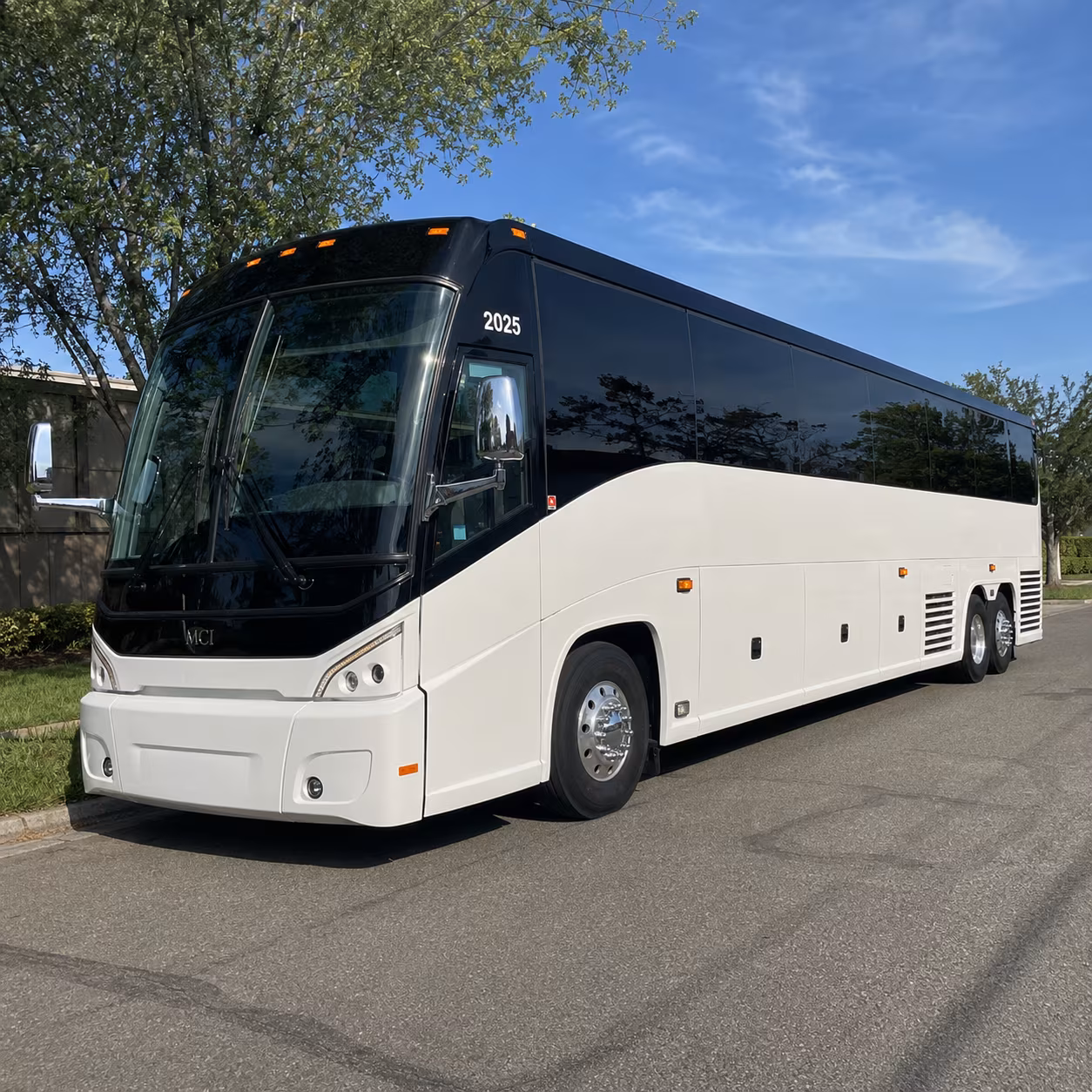 charter buses to detroit for lions games tigers games and red wings nights